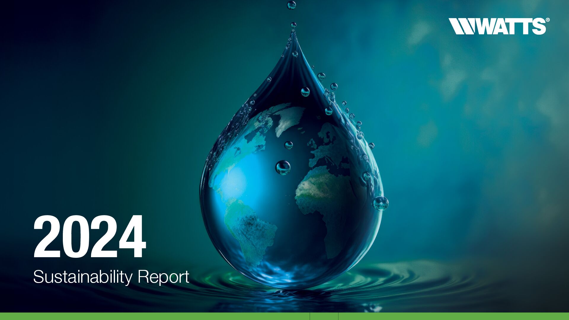 2024 Watts Sustainability Report Final